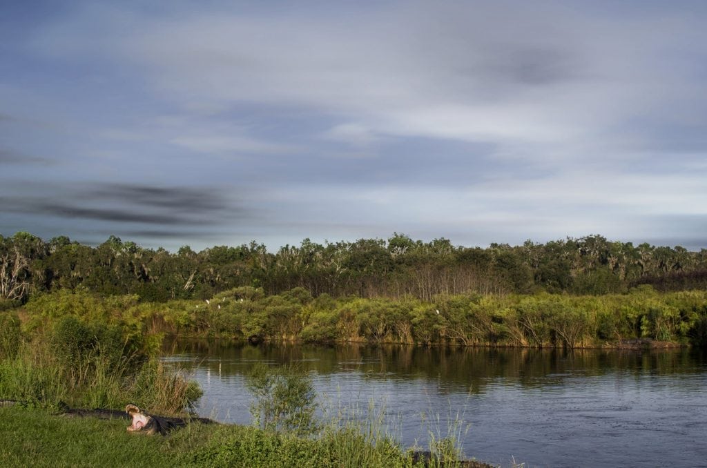 Landscape Photography